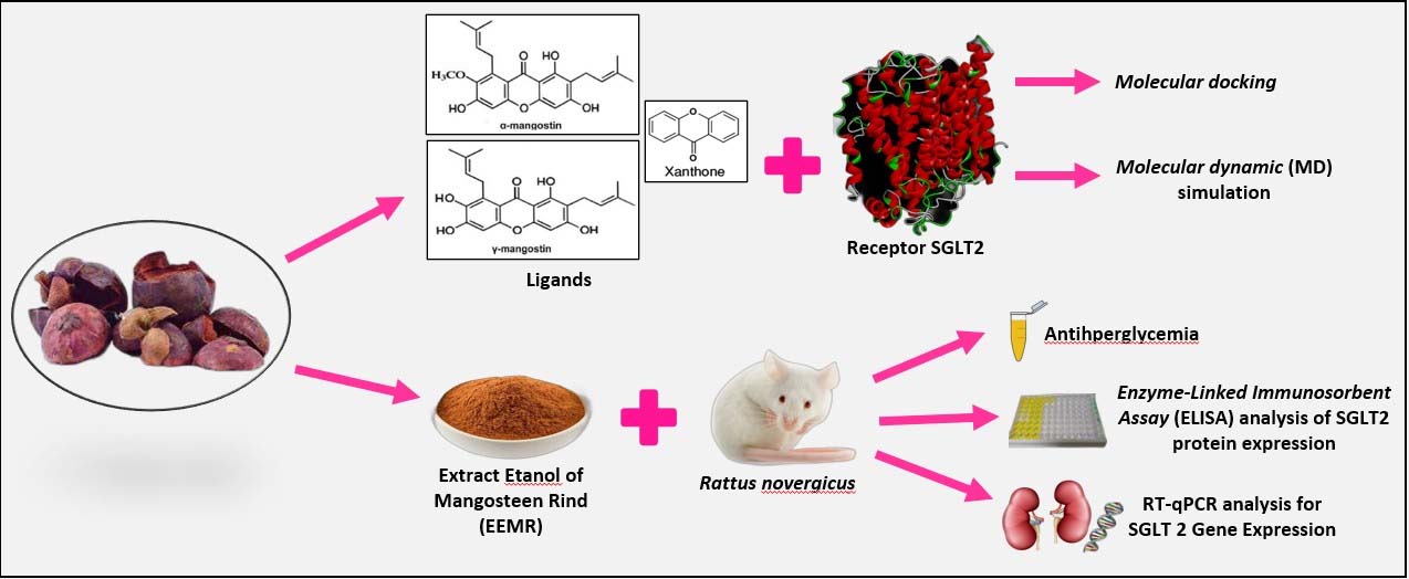 Graphical Abstract